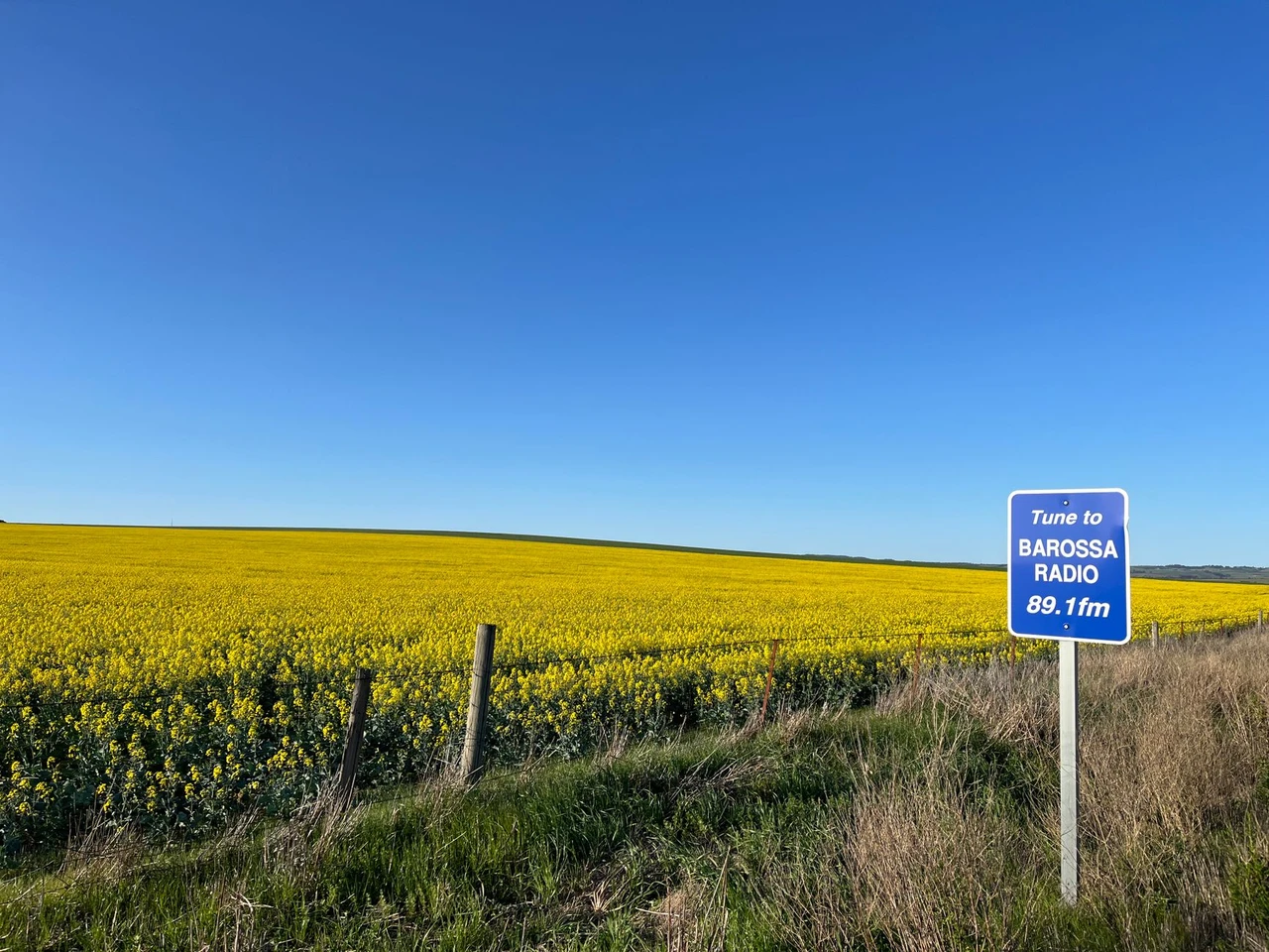 Rolling countryside and farmland in South Australia's Barossa Valley wine region